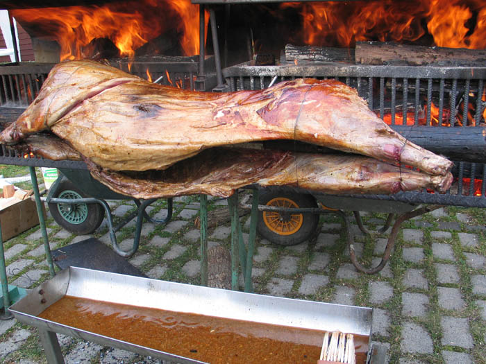 22 Wildschwein