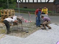 IMG_7695